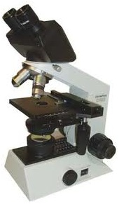 Binocular Microscope